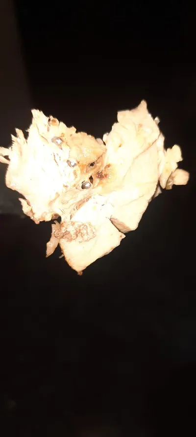 Un boccone a forma di cuore su fondo scuro